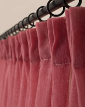 Görseli Galeri görüntüleyiciye yükleyin, Daisy - Ventana Concept